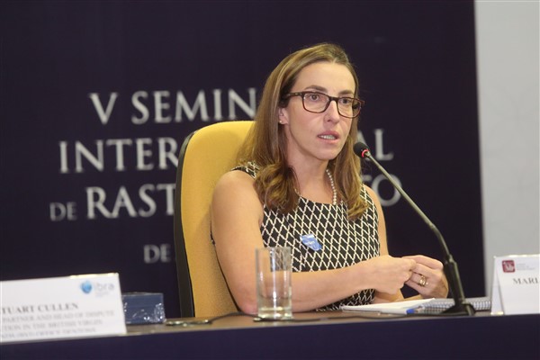 V Seminário - Painel 2