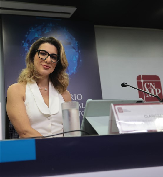 VI Seminário - Painel 1