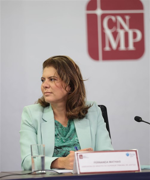 VI Seminário - Painel 3